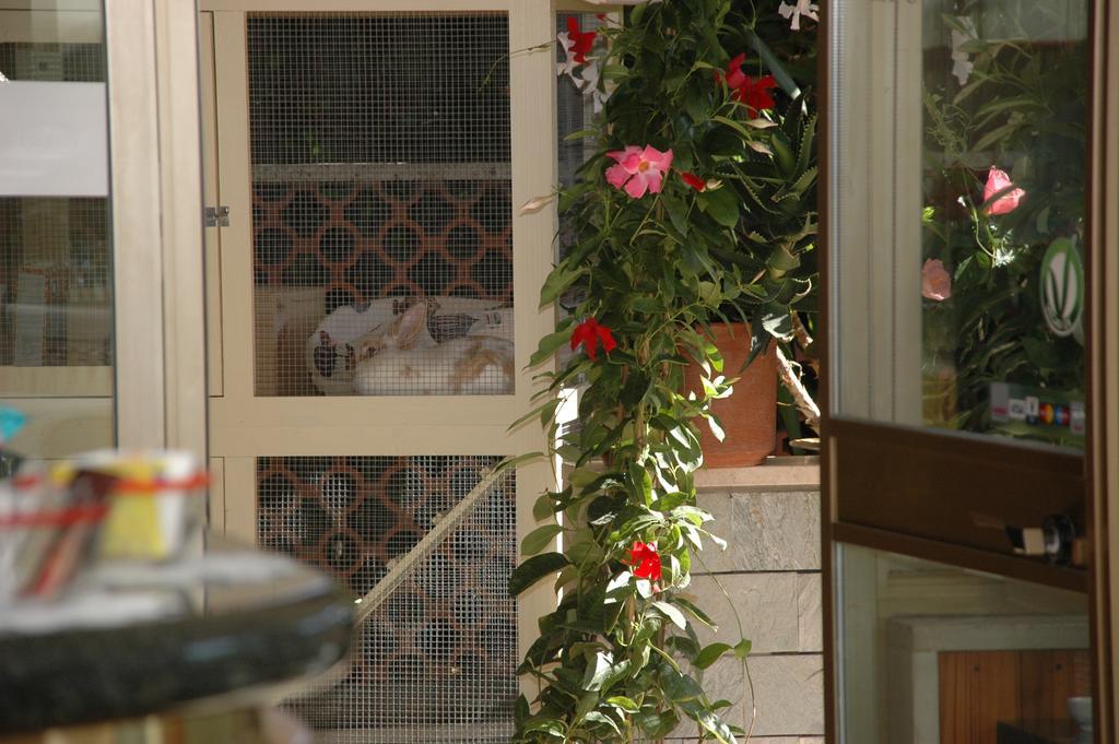 Hotel Ristorante La Terrazza ليدو دي كامايوري المظهر الخارجي الصورة